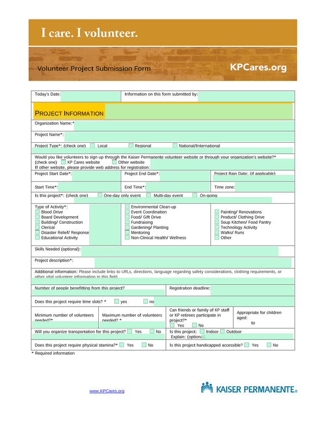 Volunteer Project Submission Form screenshot