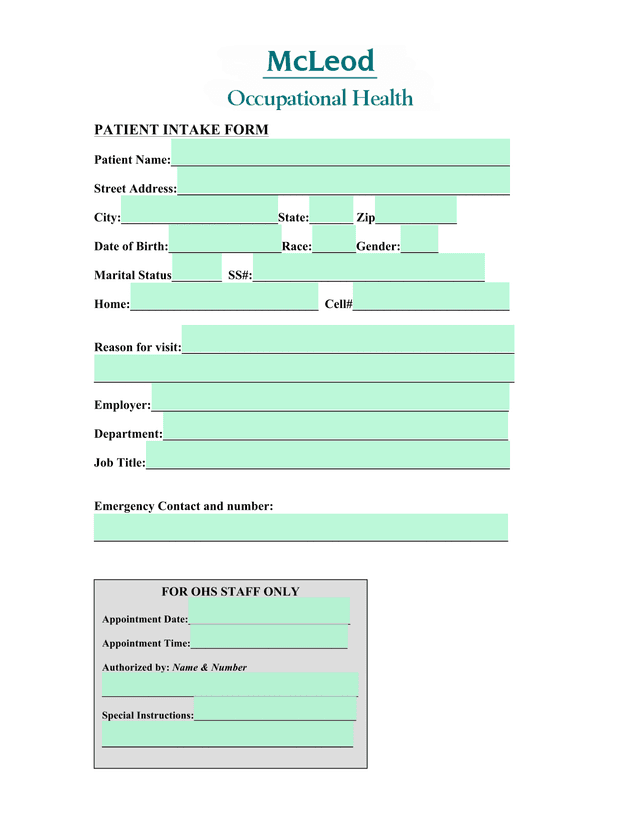 PATIENT INTAKE FORM screenshot