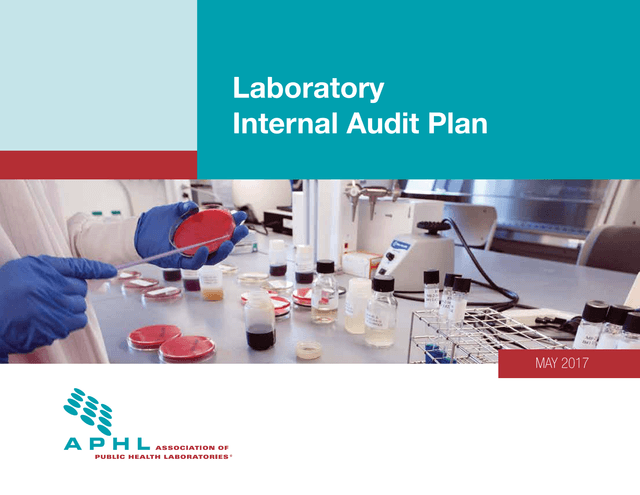 Laboratory Internal Audit Plan screenshot