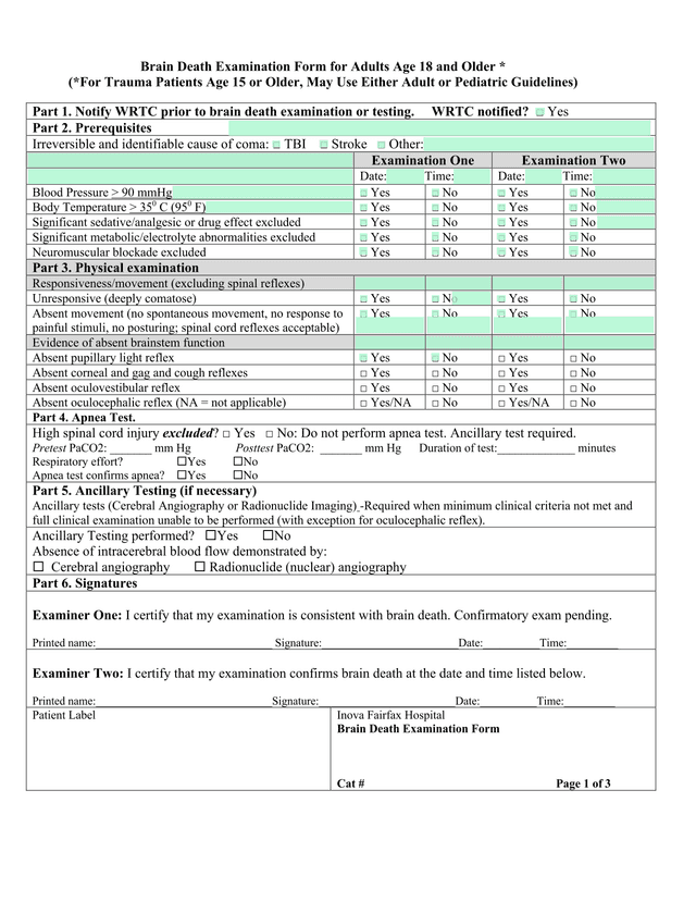 Brain Death Examination Form For Adults Age 18 And Older screenshot