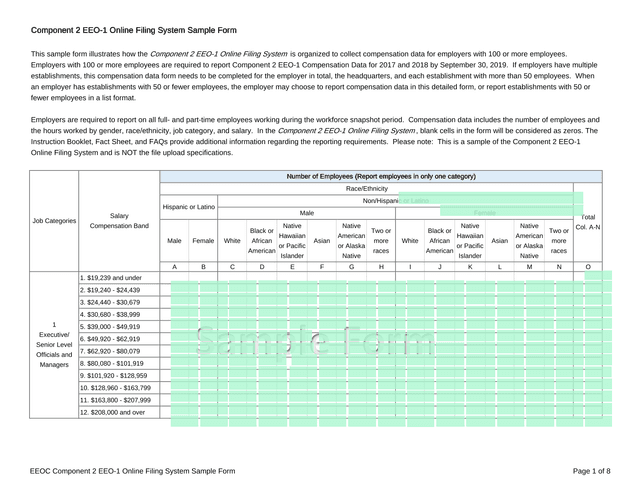 EEOC Component 2 EEO 1 Online Filing System Sample Form screenshot
