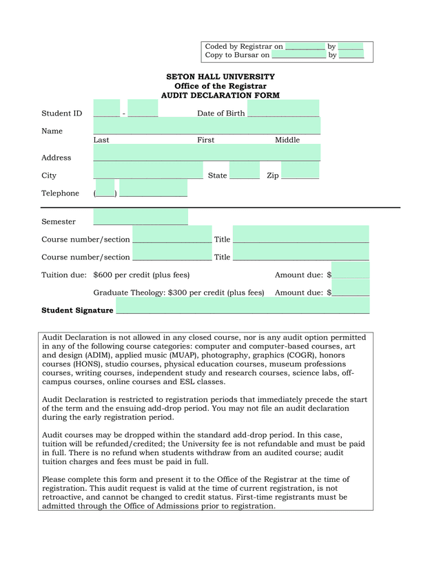 Audit Declaration Form screenshot