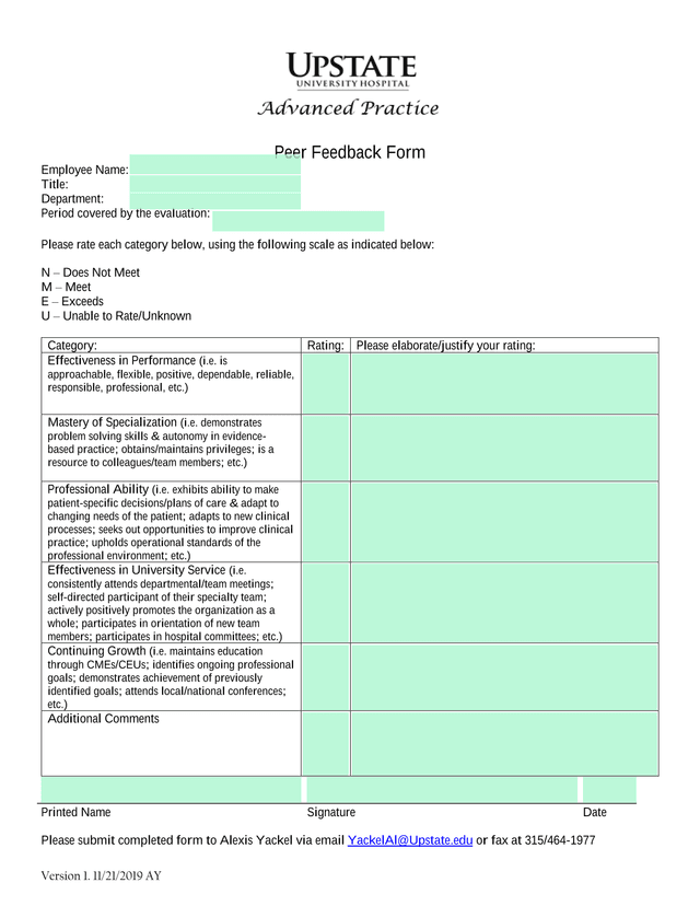 Peer Feedback Form screenshot