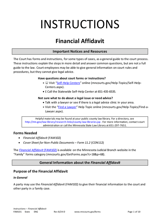 Instructions  Financial Affidavit screenshot