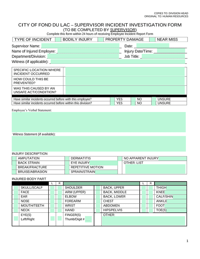 CITY OF FOND DU LAC  SUPERVISOR INCIDENT INVESTIGATION FORM screenshot