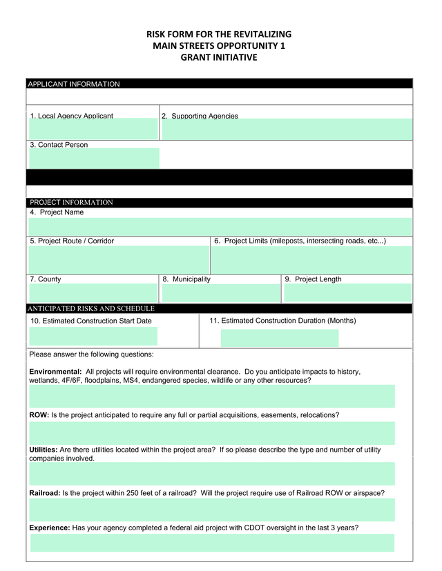 Risk Form For The Revitalizing Main Streets Opportunity 1 Grant Initiative screenshot