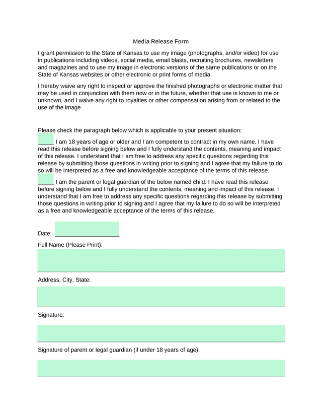 Media Release Form screenshot