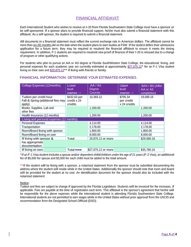 Financial Affidavit screenshot