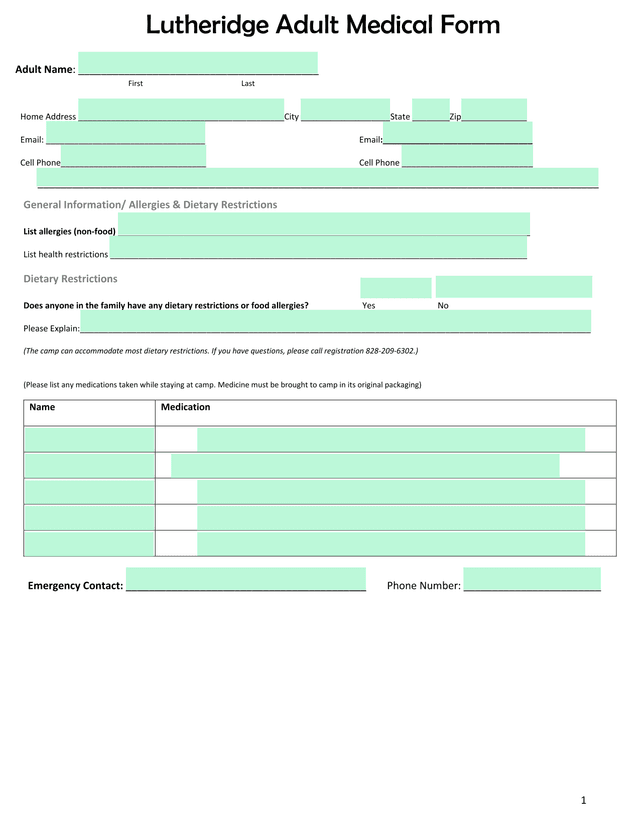 Lutheridge Adult Medical Form screenshot