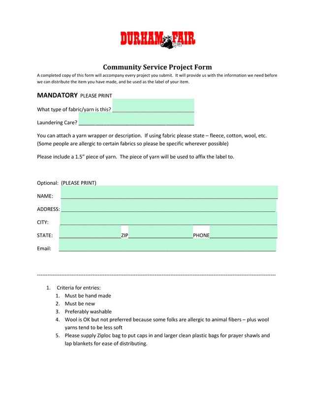 Community Service Project Form screenshot
