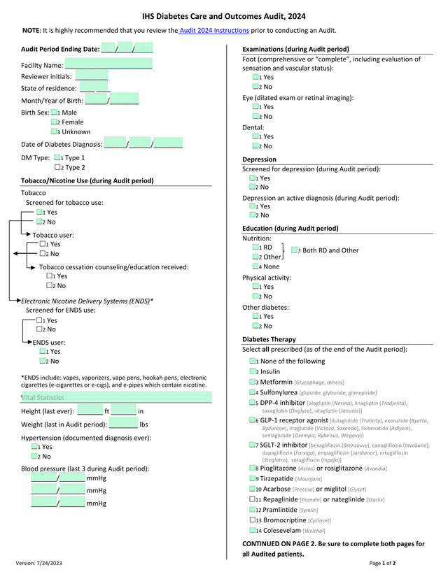 IHS Diabetes Care And Outcomes Audit, 2024 screenshot