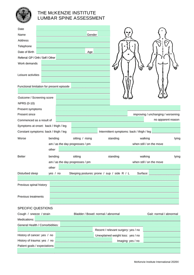 McKenzie Institute International Lumbar Spine Assessment screenshot