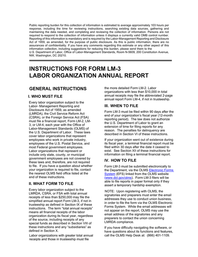 Form LM 3 Labor Organization Annual Report screenshot