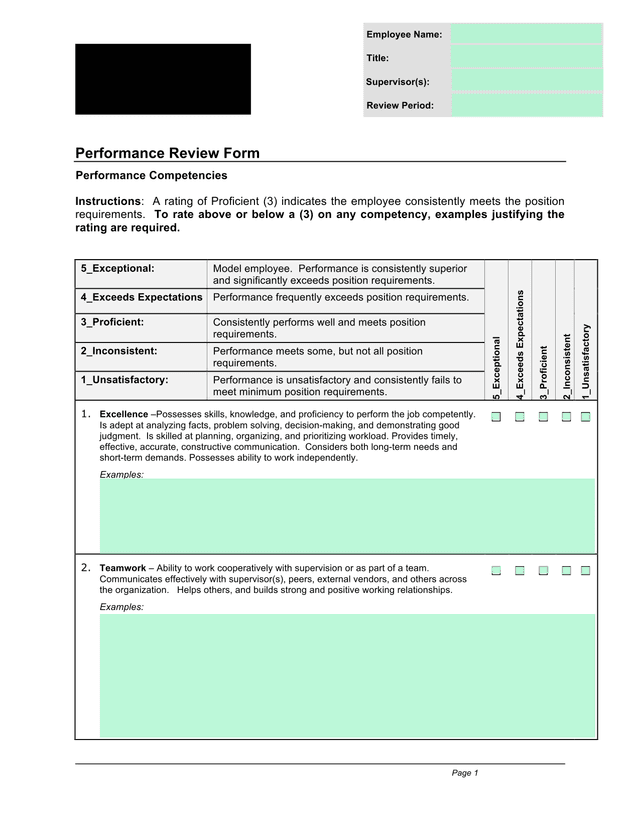 Performance Review Form screenshot