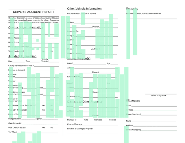 DRIVERS ACCIDENT REPORT screenshot
