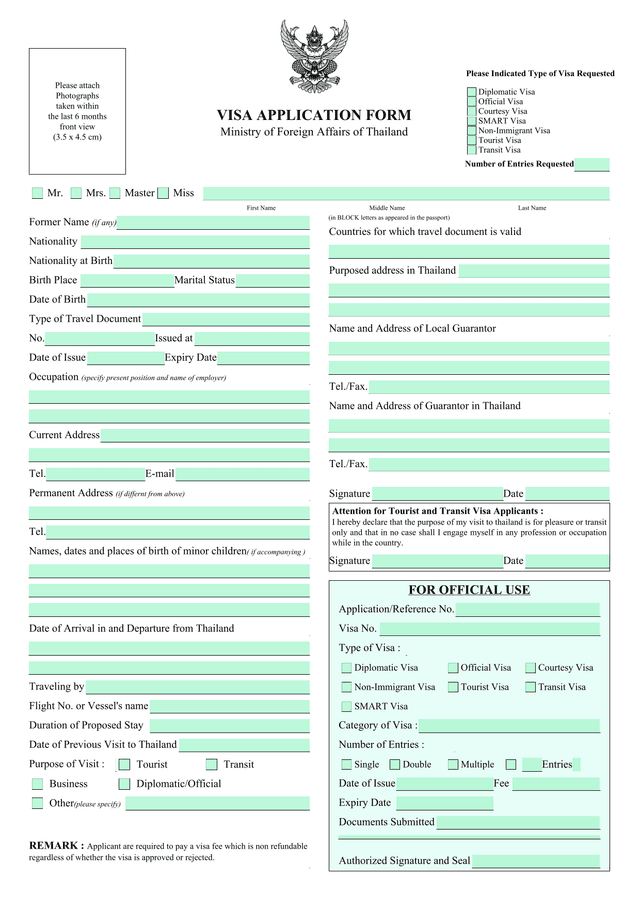 VISA APPLICATION FORM screenshot