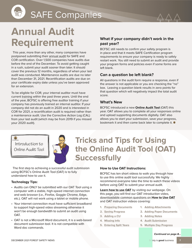 SAFE Companies Audit Guide screenshot