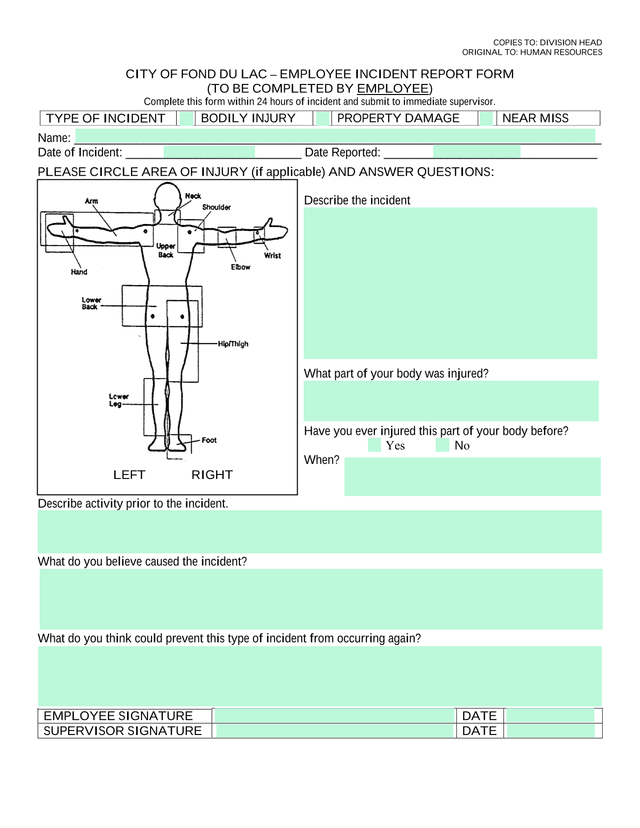 City Of Fond Du Lac  Employee Incident Report Form screenshot