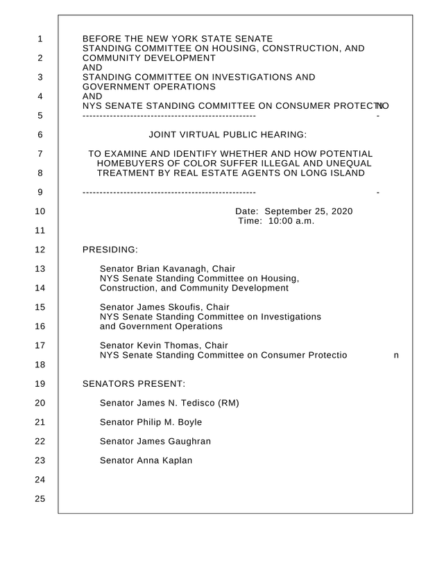 Joint Virtual Public Hearing On Real Estate Discriminatory Practices screenshot