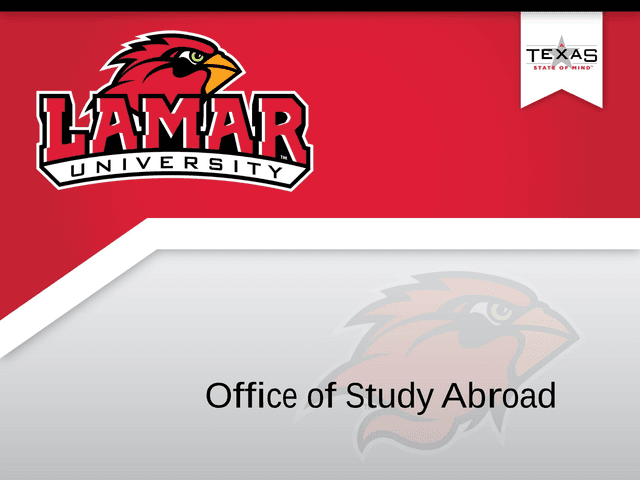 After Acceptance Study Abroad Preparation Guide screenshot