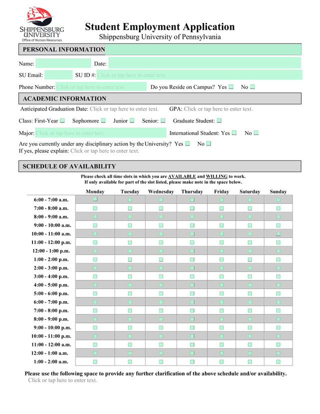 Student Employment Application screenshot