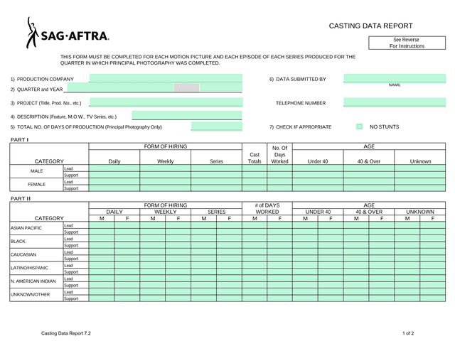 Casting Data Report screenshot
