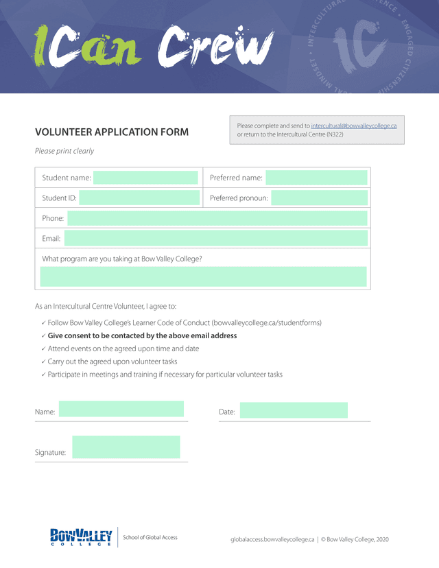 Volunteer Application Form screenshot