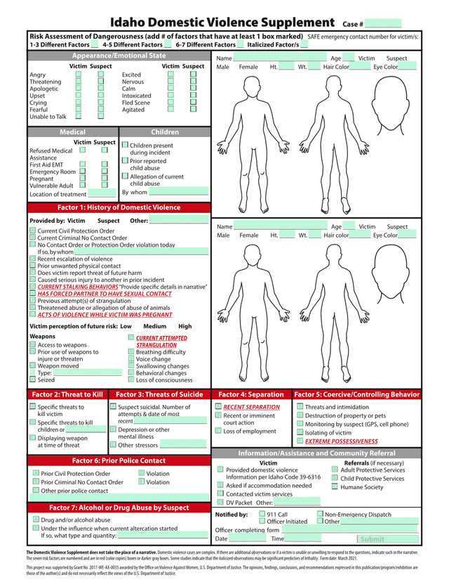 Idaho Domestic Violence Supplement screenshot