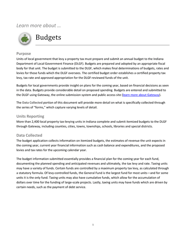 Budgets For Local Government Property Tax Units screenshot