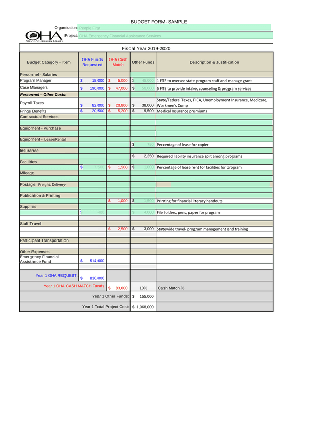 BUDGET FORM  SAMPLE screenshot
