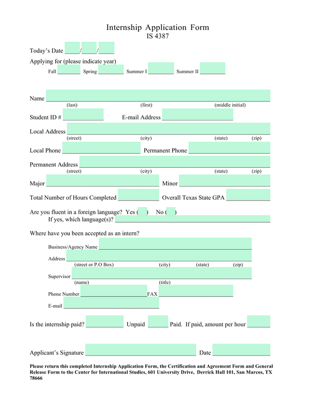 Internship Application Form screenshot