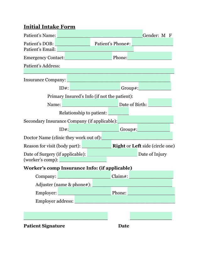 Initial Intake Form screenshot
