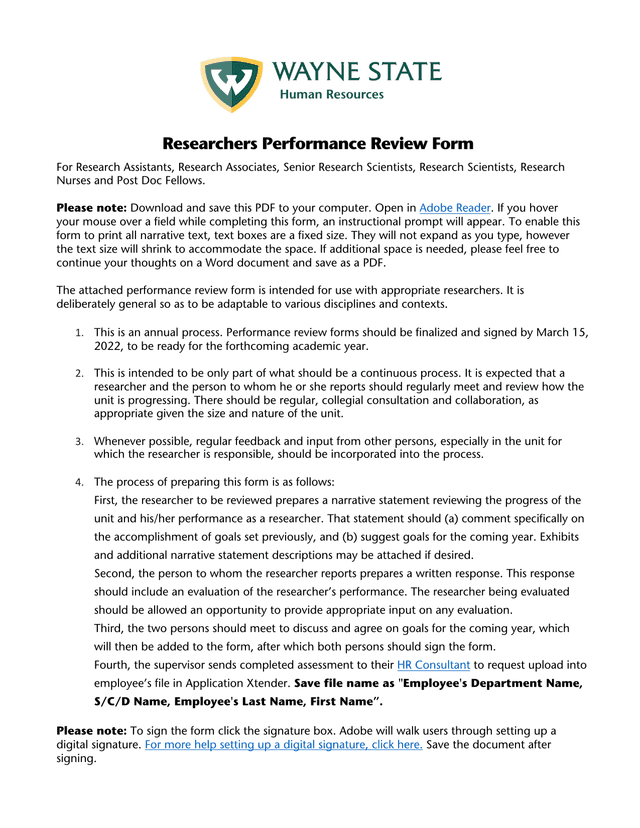 Researchers Performance Review Form screenshot