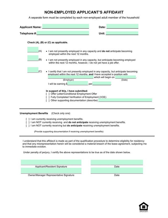 Non Employed ApplicantS Affidavit screenshot