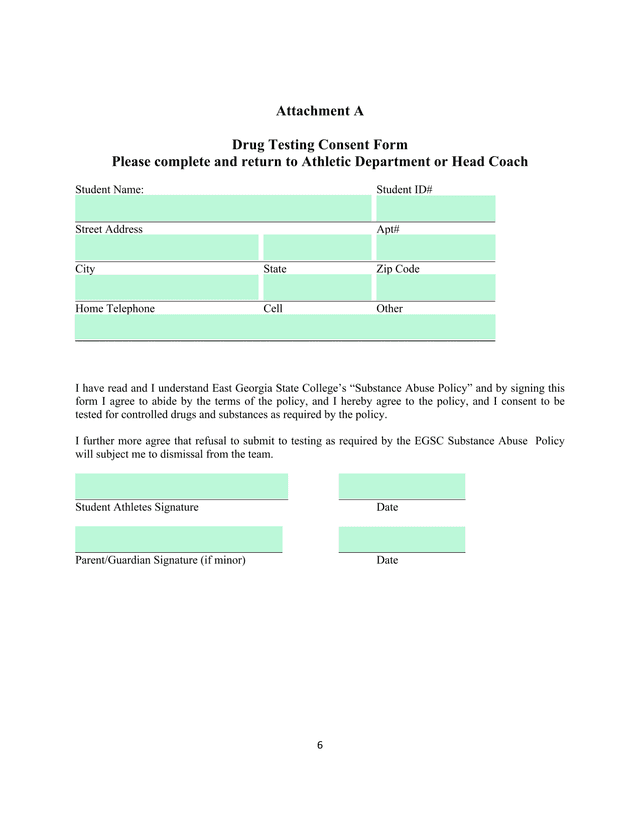 Drug Testing Consent Form screenshot