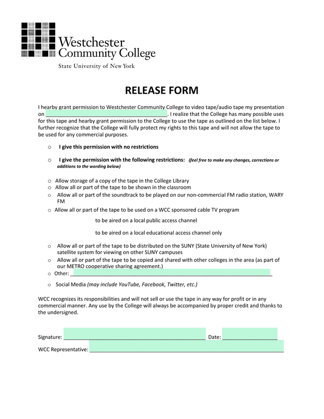 RELEASE FORM screenshot