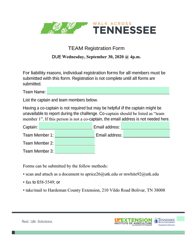 TEAM Registration Form screenshot