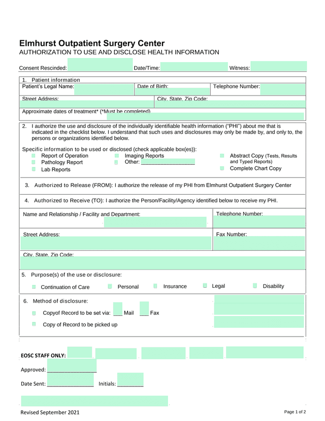Authorization To Use And Disclose Health Information screenshot