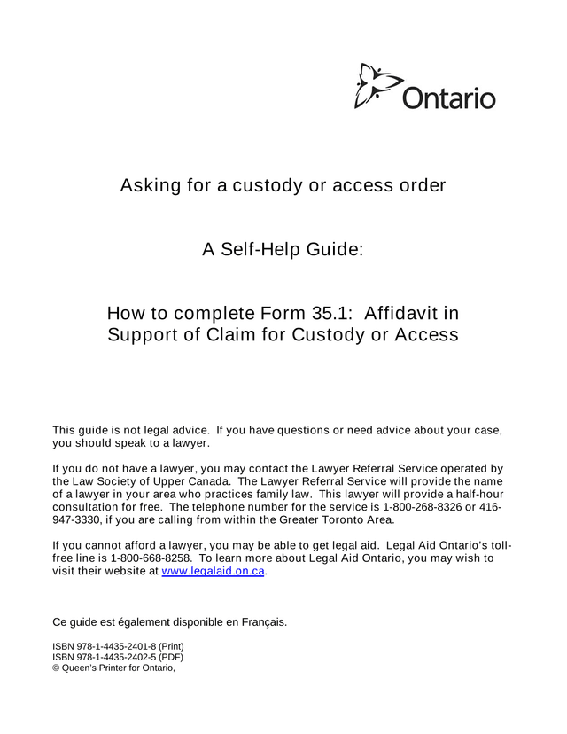 Asking For A Custody Or Access Order screenshot