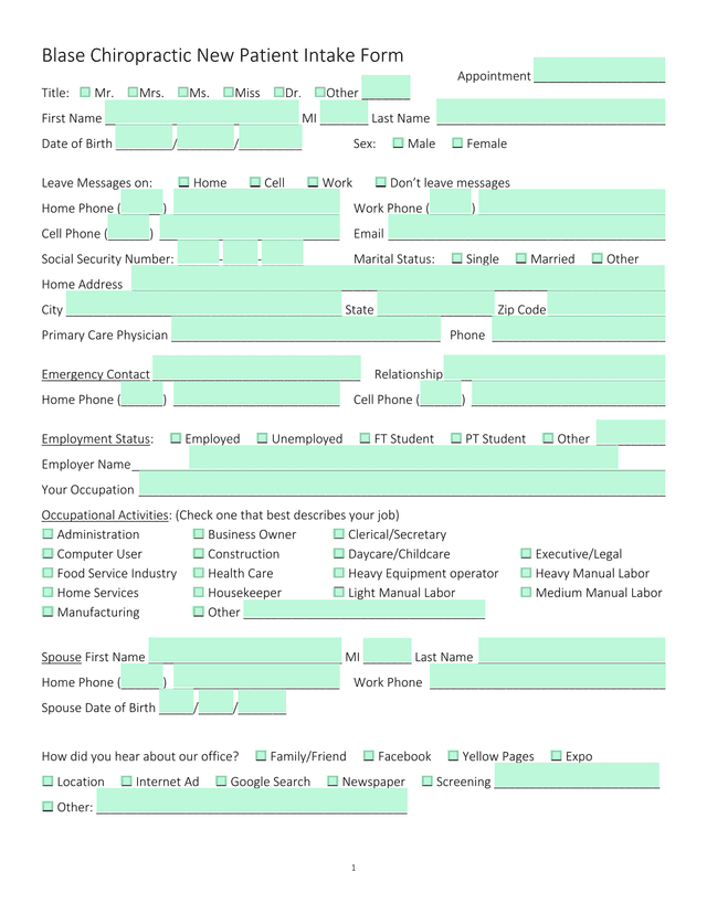 Blase Chiropractic New Patient Intake Form screenshot