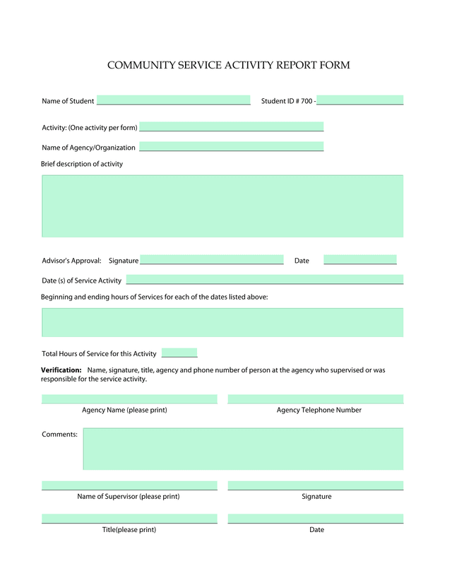 Community Service Activity Report Form screenshot