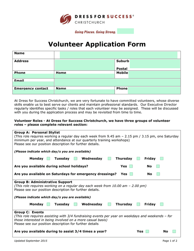 Volunteer Application Form screenshot