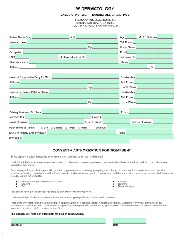 Dermatology Patient Intake Form screenshot