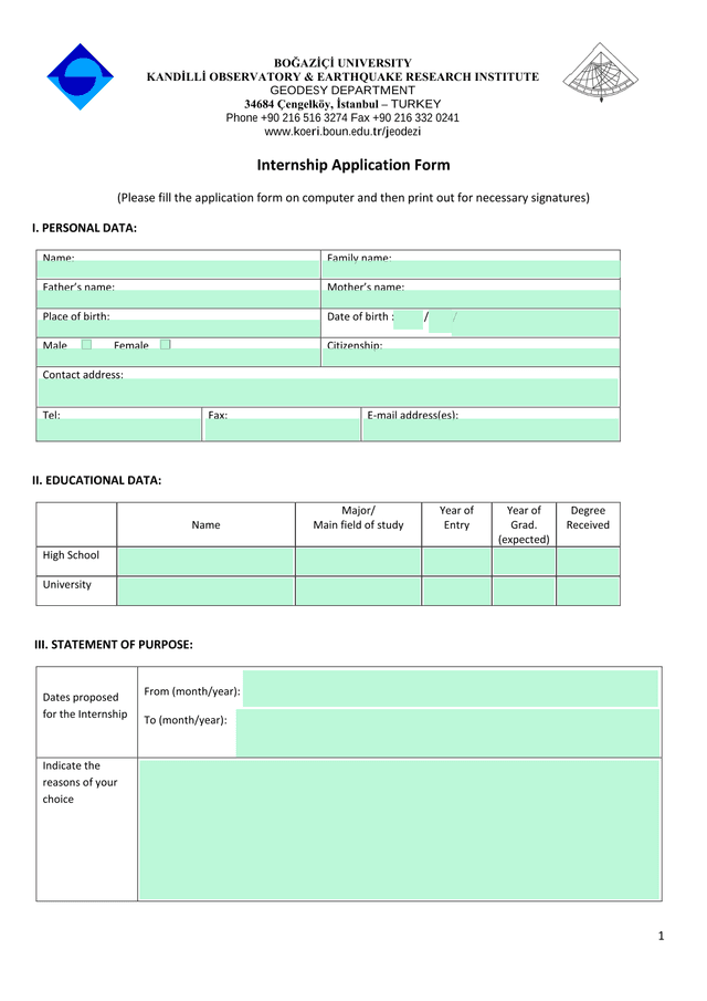 Internship Application Form screenshot