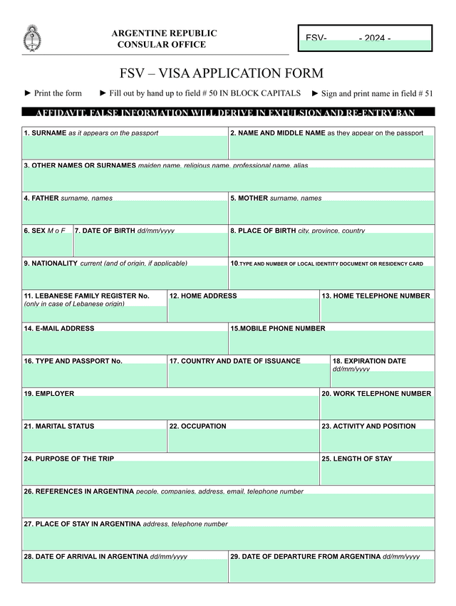 FSV  VISA APPLICATION FORM screenshot