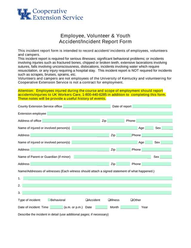 Employee, Volunteer  Youth AccidentIncident Report Form screenshot