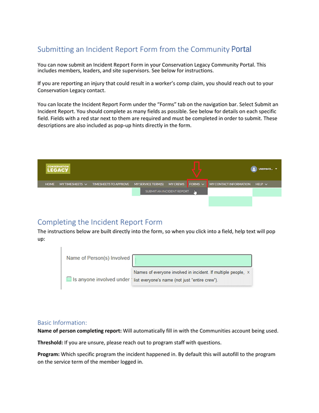 Incident Report Form screenshot