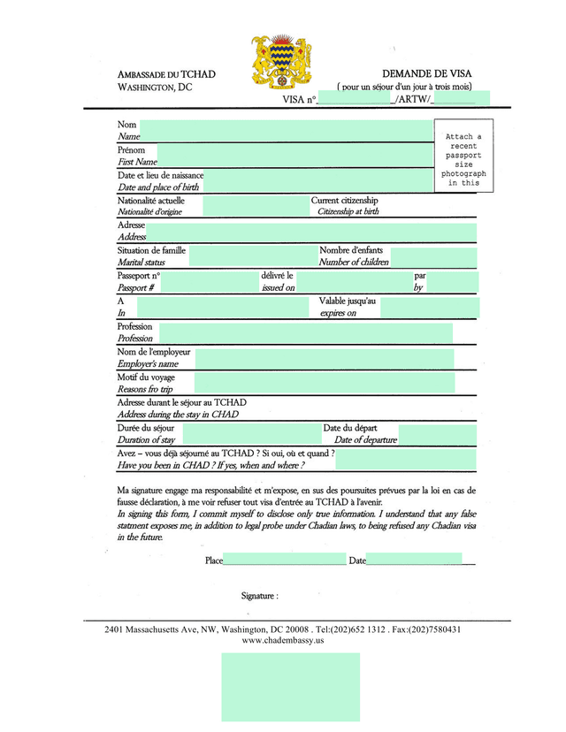 Visa Application E Form screenshot