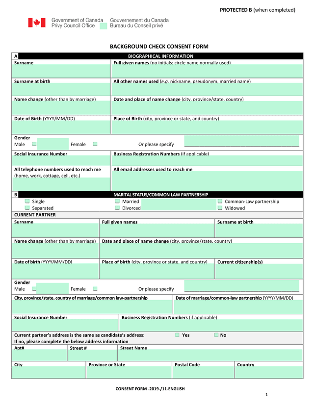 Background Check Consent Form screenshot