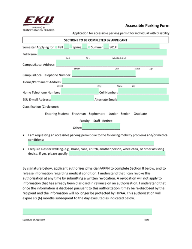 Accessible Parking Form screenshot
